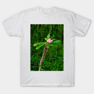 Pink Crown of Thorns T-Shirt